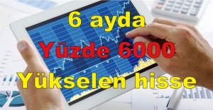 6 ayda yüzde 6000 yükselen hisse