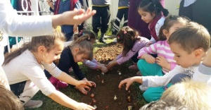 Ataşehir'de Çocuklar Baharı Lale Soğanı Dikerek Karşıladılar