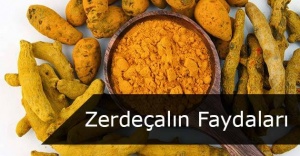 Zerdeçalın Sağlığımıza Mucizevi Faydaları