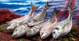 Balık, Anadolu’da 5 bin yıllık tarihe sahip