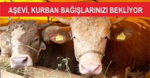 ATAŞEHİR AŞEVİ, KURBAN BAĞIŞLARINIZI BEKLİYOR