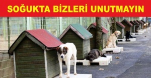 SOĞUKTA BİZLERİ UNUTMAYINIZ