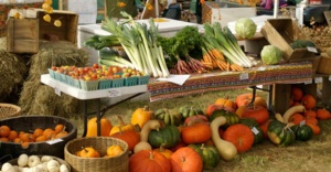 Türkiye 68 ülkeye organik ürün ihraç etti