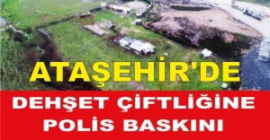 Ataşehir'de Dehşet Çiftliğine polis baskını