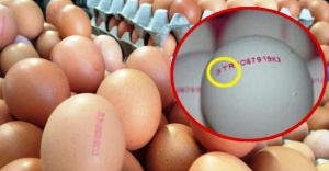 Yumurtanızın Üzerindeki Kodlara dikkat