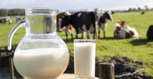 Yüksek Tansiyon Riskini Süt İçerek Azaltın