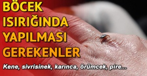 BÖCEK SOKMALARINA KARŞI İLK YAPILMASI GEREKENLER