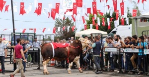 Kurbankent Güzeli ‘Dadaş’ Oldu