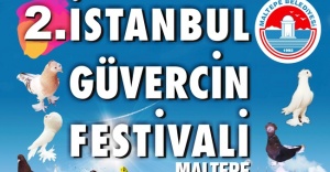 Maltepe’de “Güvercin Festivali”