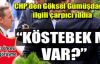 Gürsel Tekin: Türkiye'de ikinci bir köstebek olayı mı?
