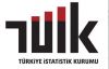 Hanehalkı İşgücü İstatistikleri, 2013