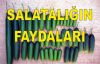 Salatalığın Faydaları