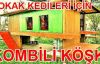 Sokak kedilerine kombili köşk 