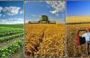  Tarım ÜFE Mart ayında %2,48 arttı