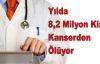 'Yılda 8,2 Milyon Kişi Kanserden Ölüyor'