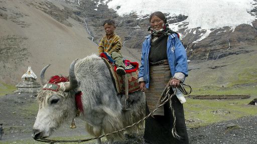 Tibetlileri 'yükseklerde' koruyan gen bulundu