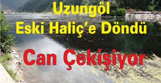 Uzungöl Eski Haliç’e Döndü