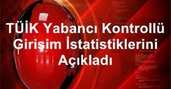 Yabancı Kontrollü Girişim İstatistikleri, 2013