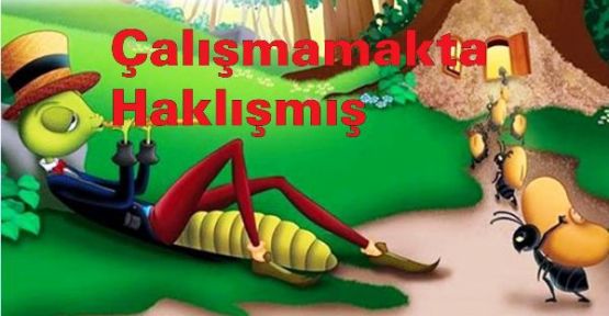 Yıllarca ağustos böceğine haksızlık yapmışız!