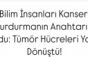 Bilim İnsanları Kanseri Durdurmanın Anahtarını...