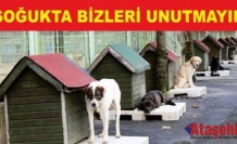 SOĞUKTA BİZLERİ UNUTMAYINIZ