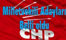 CHP'nin milletvekili adaylarının tam listesi