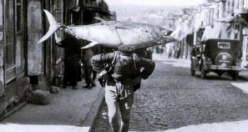 Bir Zamanlar Marmara, İstanbul Balık Manzara Fotoğrafları