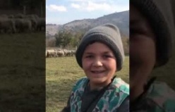 12 yaşındaki Çoban Şevki'nin Hayvancılık için söyledikleri