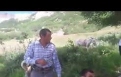 Keçilere Fısıldayan Çoban