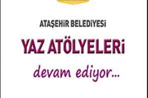 Ataşehir Belediyesi Yaz Okulları, 2014