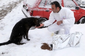Ataşehir Belediyesi Sokak Hayvanlarını Unutmadı, 2015