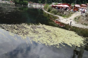 Trabzon Uzungöl Can Çekişiyor