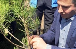 Ak Parti Ataşehir teşkilatı ağaç dikme etkinliği...