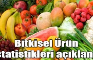 Bitkisel Ürünler İstatistikleri