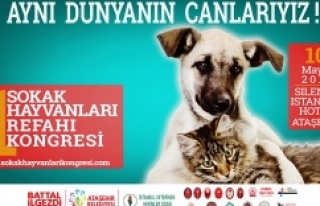 1. Sokak Hayvanları Refahı Kongresi Ataşehir’de...