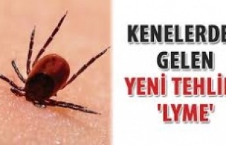 Kene Isırığı ile Bulaşan LYME