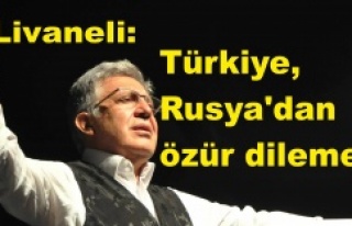 Livaneli: Türkiye, Rusya'dan özür dilemeli