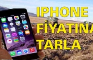 IPHONE FİYATINA TARLA