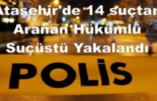 Ataşehir'de 14 suçtan Aranan Hükümlü Suçüstü...