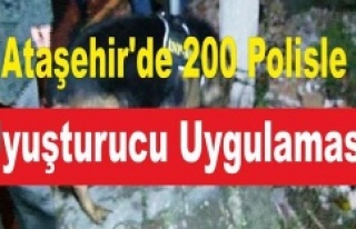 Ataşehir'de 200 Polisle Uyuşturucu Uygulaması