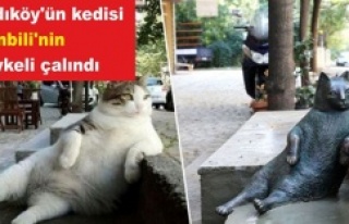 Kadıköy'ün kedisi 'Tombili'nin heykeli...