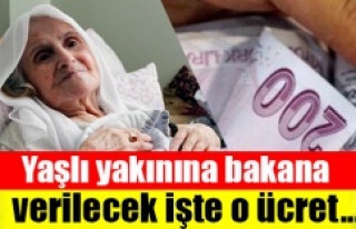 Yaşlı yakınına bakana 924 TL