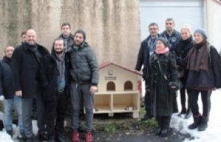 Üsküdar Belediyesi, yıkılan kedi evi yerine özel...