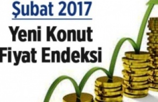 2017 Mart Emlak Endeksi açıklandı