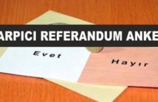 ÇARPICI REFERANDUM ANKETİ