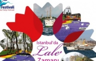 Lale Festivaline, Kadıköy, Üsküdar Emirgan Tarifeli...