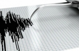 Muğla'da 4.0'lık korkutan deprem