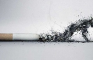 Tütün mamülleri kanser riskini 20 kat artırıyor!