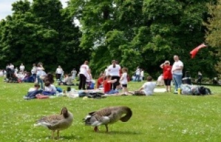 Yaz geldi piknikçilere uyarı