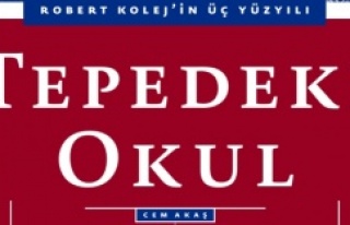 TEPEDEKİ OKUL